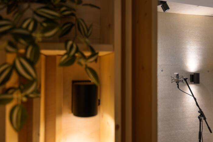 A wooden wall niche with a lamp and a plant in the foreground; the voiceover booth microphone in the background.